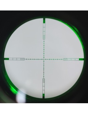 Delta Armory 1-4x24RG LPVO Marksman DMR Rifle Scope