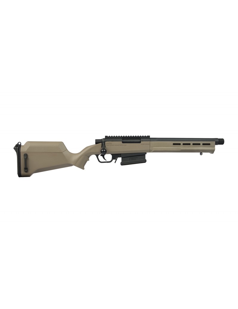 Ares Amoeba AS-02 Striker Scout Sniper Rifle