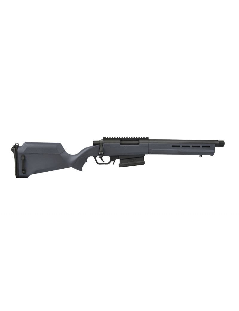 Ares Amoeba AS-02 Striker Scout Sniper Rifle